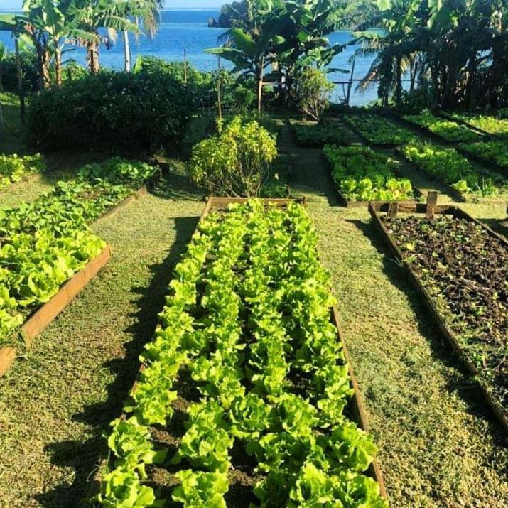 Nacomoto Matava Resort מראה חיצוני תמונה